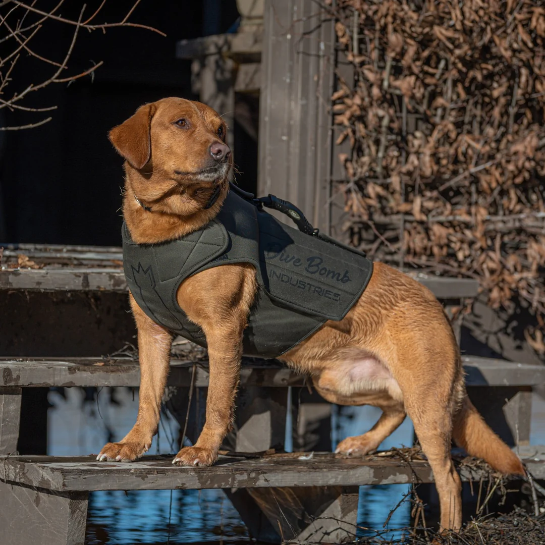 The Ultimate Guide to Dog Vest Harnesses